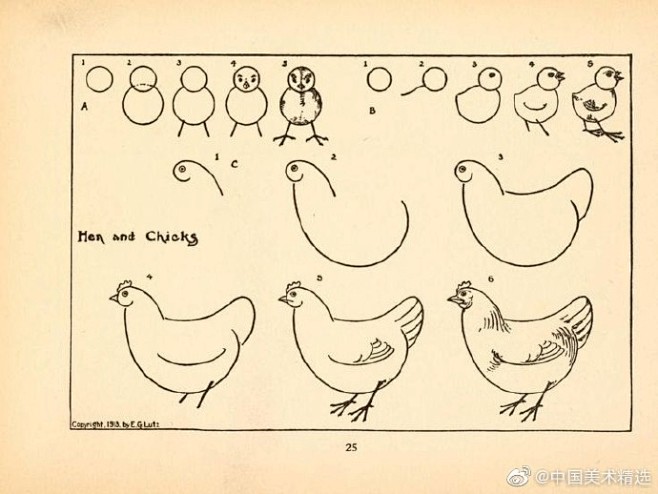 动物绘画步骤图谱 ​​​​