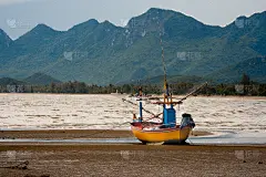 渔船逆风而行。