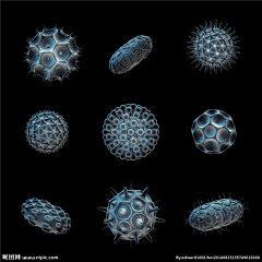 烟火里的尘埃233采集到分子