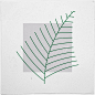 Geometry Daily /
#290 Fern