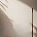 室内 场景