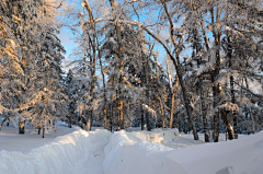 羽519采集到雪/雪景