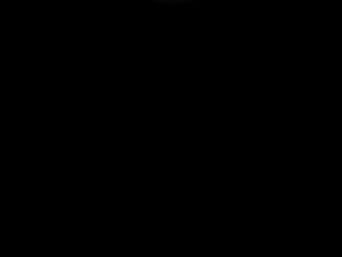 CG6