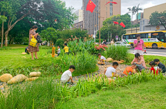 一包感冒灵采集到植物-雨水花园