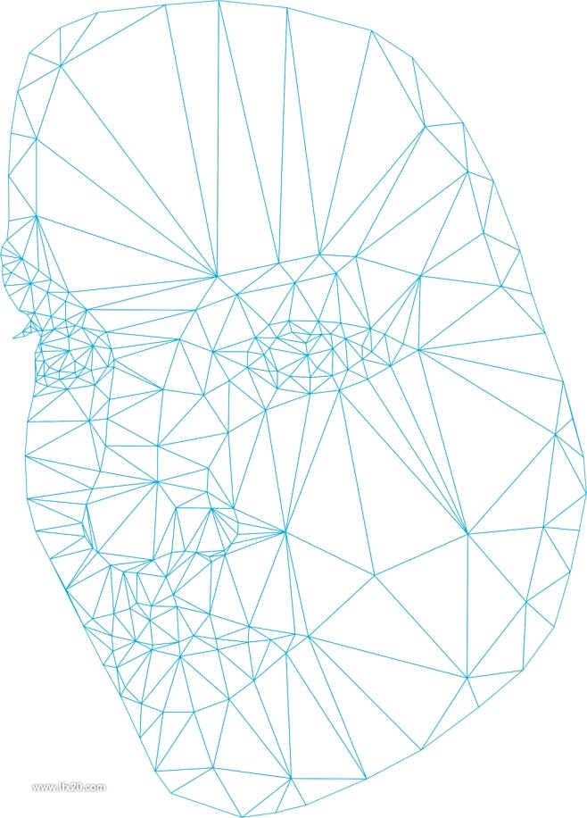 三角测量技术制作多边形女性肖像人脸 (1...
