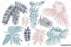 豆科植物和灌木手绘素描插画素材Vintage-Trees-Shrubs-in-Flowers #1009712-设计元素-@美工云(meigongyun.com)