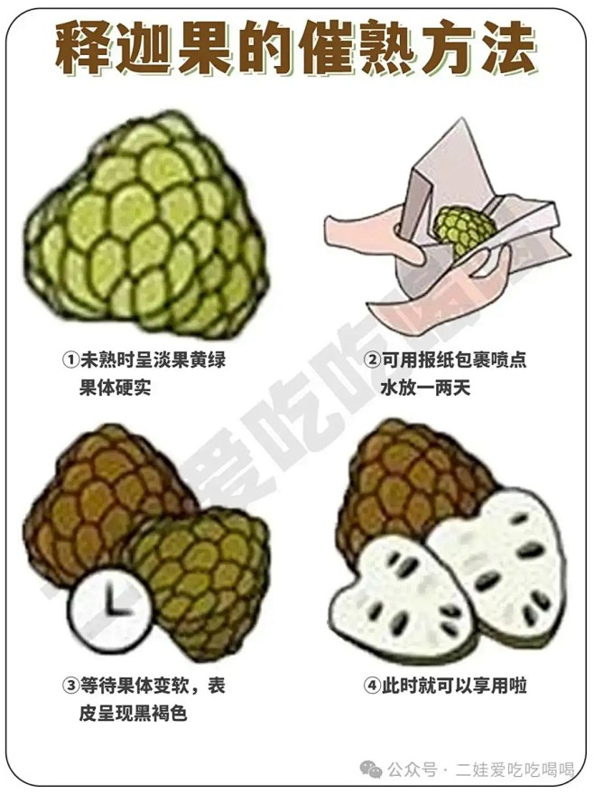 9种常见释迦果的区别及口感丨附挑选方法