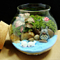 情人崖 龙猫 苔藓微景观生态瓶 DIY苔藓瓶 创意礼物 桌面绿植盆栽