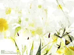 韩国插画师Imarang插画作品欣赏 #采集大赛#
