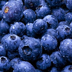 蓝染镜花水月采集到树莓/蓝莓