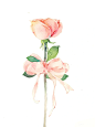 宝藏插画师推荐74|水彩手绘植物花卉 - 小红书