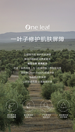 羽墨啊采集到B-背书