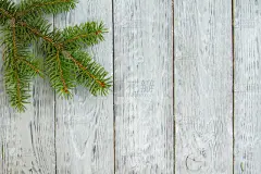 云杉,木制,枝,留白,灰色背景,传统,请柬,贺卡,边框,复古风格