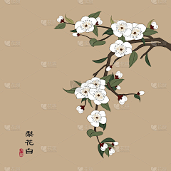 猫卯月采集到暗纹