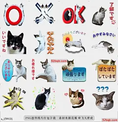 line贴图表情包移动真猫贴纸2 move! real cat stic