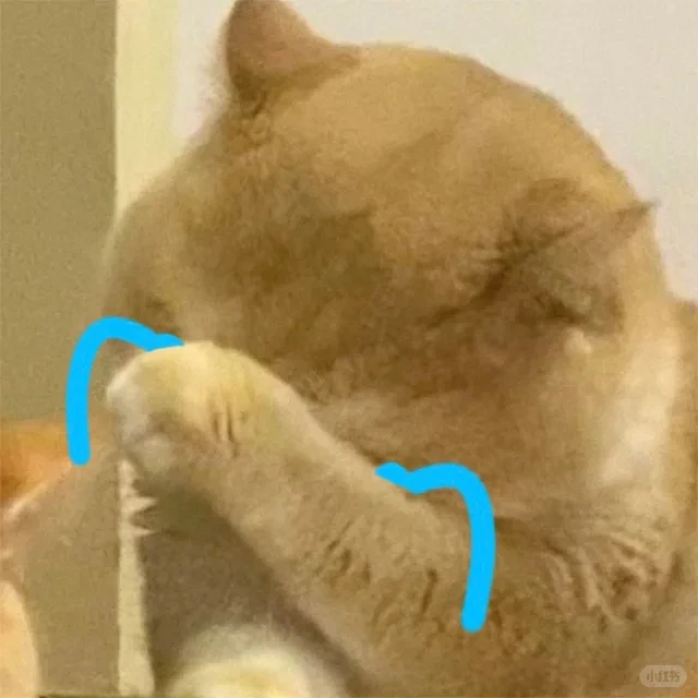 流泪 哭泣 猫咪表情包