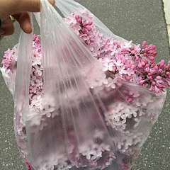 打小就野采集到说说