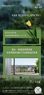 微信图片_20241018142643