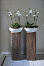 mooie schalen met orchidee op stoere zuilen <a class="text-meta meta-tag" href="/search/?q=iloveit! ">#iloveit! #</a>Pintratuin: 