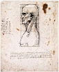 男子头部比例研究，侧面像 - male head in profile with proportions