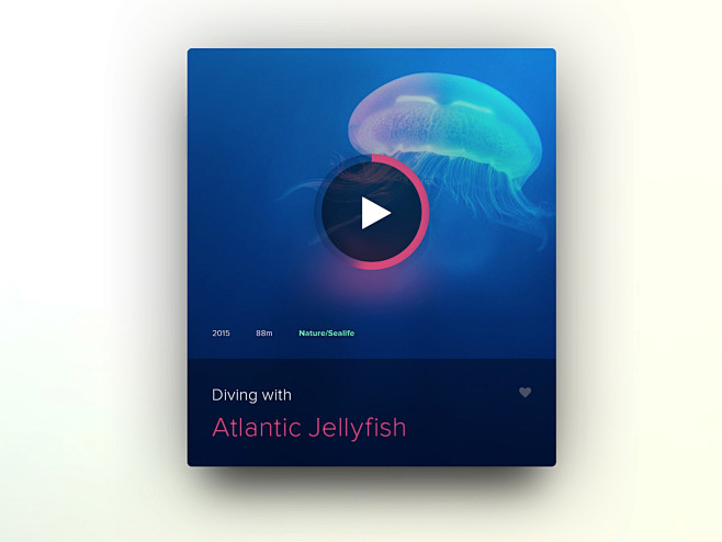 Jellyfishl