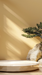 花瓣素材_中国风通用新中式展台实景光影展示背景图片素材_193453432