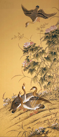 二娃ava采集到◤工笔生花◢