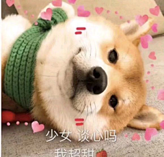 无敌小尾巴采集到表情包