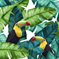 This is a beautiful Toucans Tropical Banana Leaves pattern that will bring a lot of distinction and style to your items. This original Toucans Tropical Banana Leaves pattern is like no others and will make your items stand out.