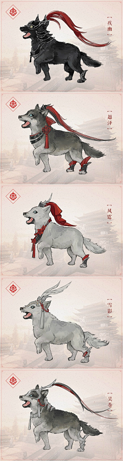 アサリ采集到dog