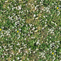 Textures   -   NATURE ELEMENTS   -   VEGETATION   -  Flowery fields - meadow with daisies pbr texture semaless 22189