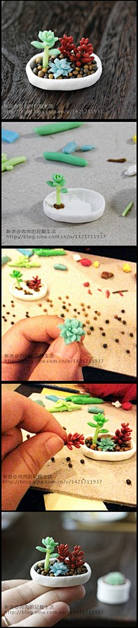 口米子采集到照片素材