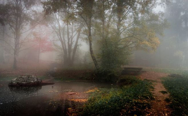 landscape, nature, s...