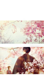 Omiya的cosplay正片 ◆-花 吞-◆ | 半次元-ACG同好社群
