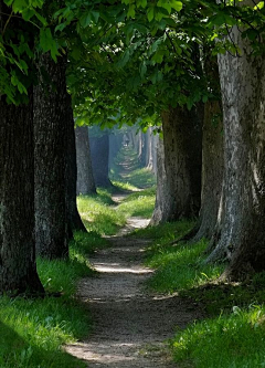 繁华陌路采集到风景