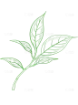 植物系列插画风茶叶线描元素