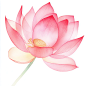 jasonsun1576_Watercolor_pink_lotus_flower_in_the_style_of_clipa_cf16386d-04e4-4272-943a-20a5c1b3c2f7