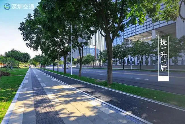 草坪 道路 行道树