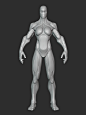 Stylized Female Hulk Anatomy Blockout