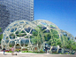 亚马逊新总部玻璃球生态建筑 (3)