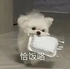 实用斗图表情包来啦表情包无水印​​​