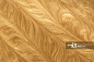 Gold Paint Feather Pattern_创意图片
