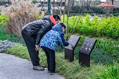 耶博小可爱biu~采集到Landscape丨空间/认知花园