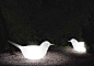 Paloma by Eero Aarnio - 空白杂志 NONZEN.com : Eero Aarnio设计了一只无比浪漫诗意的巨鸟Paloma，它其实是一款花园长凳，也是一只能在夜间发出光芒的梦中之鸟。