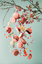 floating dessert macaron Food  food photography food stylist art Dynamic Flowers stop motion