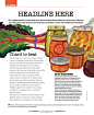 Jamie Oliver / Jamie Magazine : Selected illustrations from Jamie Magazine's gardening column.