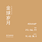 金球岁月