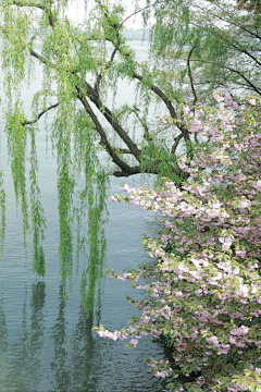 怂小宝采集到建筑场景风景元素 背景加什么
