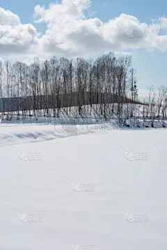 雪,田地,贺卡,云,色彩鲜艳,深雪,植物,背景,户外,天空