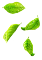 6641cb12857569.5626e35573072.png (600×849)